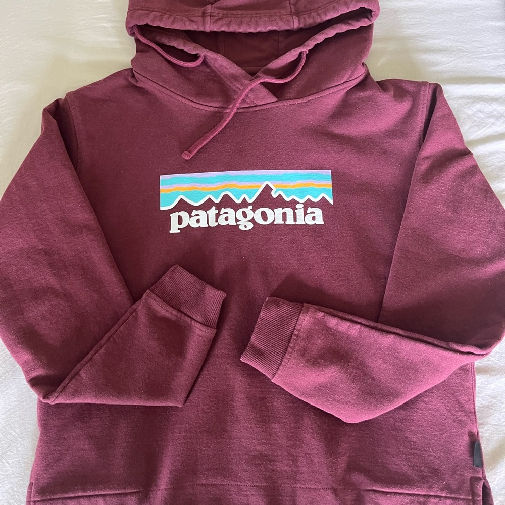 Patagonia Hooded Sweatshirt with Iconic Logo